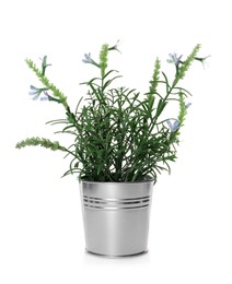 Photo of Artificial potted blue lavender flowers on white background. Home decor