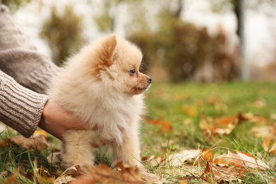 Man with small fluffy dog in autumn park, closeup