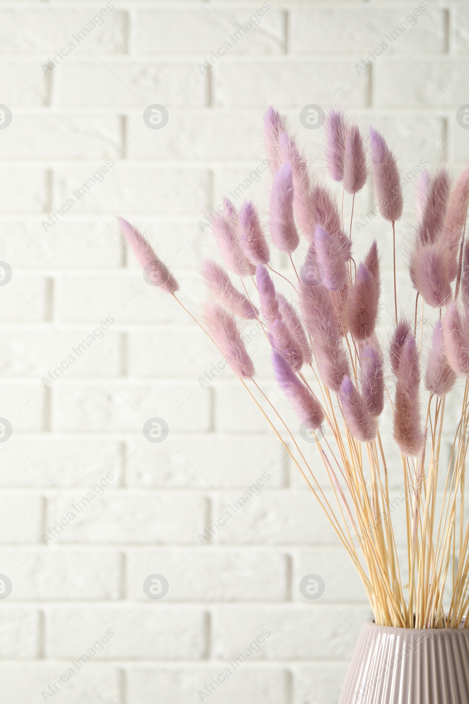 Photo of Dried flowers in vase against white brick wall