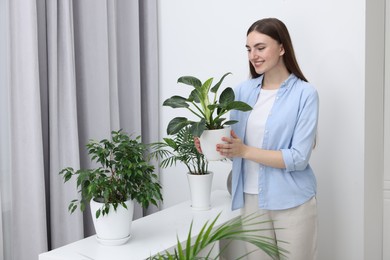 Photo of Beautiful young woman with green houseplants at home