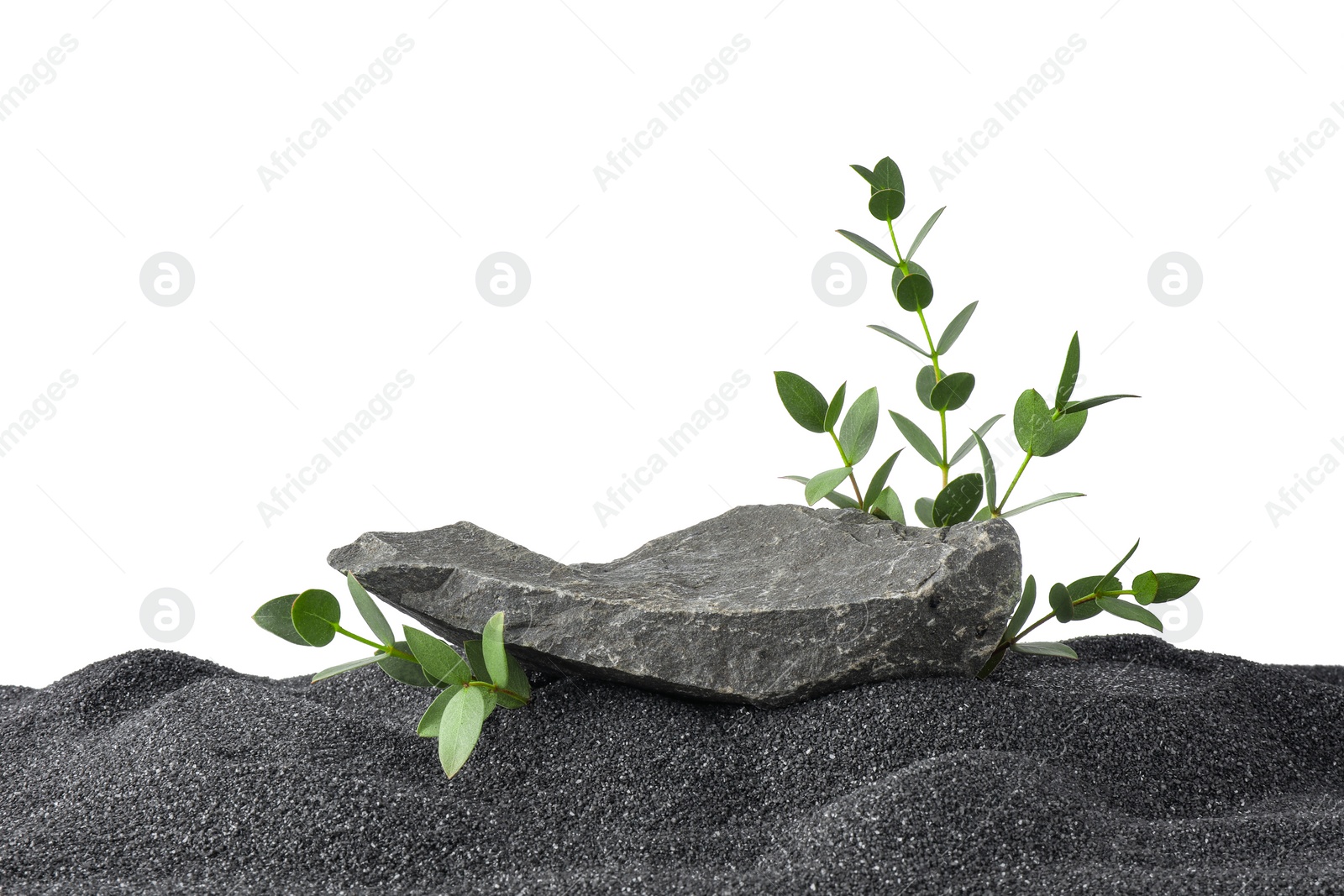 Photo of Presentation of product. Stone podium and green branches on black sand against white background