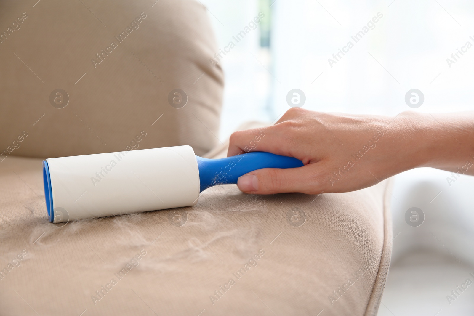 Photo of Woman removing hair from beige sofa, closeup