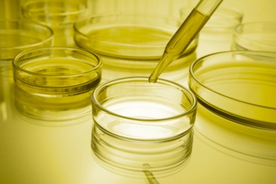 Dropping reagent into Petri dish with liquid on table, toned in yellow. Laboratory glassware