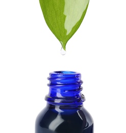 Essential oil drop falling from green leaf into glass bottle on white background, closeup