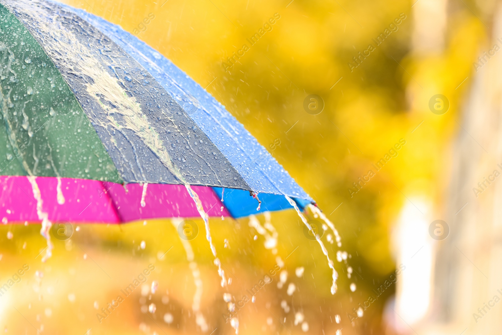 Photo of Bright color umbrella under rain outdoors, closeup