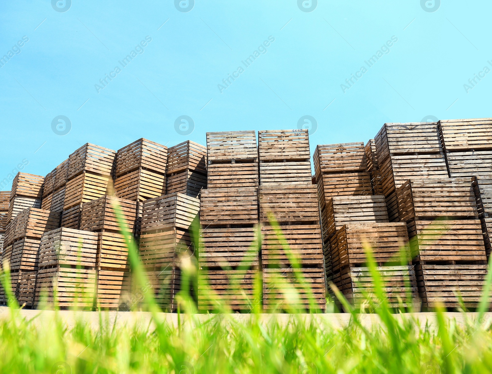 Photo of Pile of empty wooden crates and green grass outdoors on sunny day