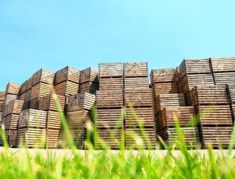 Pile of empty wooden crates and green grass outdoors on sunny day