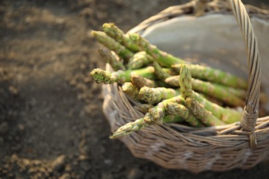 Photo of Wicker basket with fresh asparagus on ground outdoors