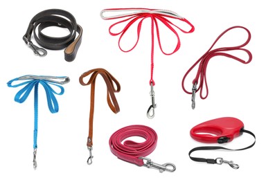 Different pet leashes on white background, collage design