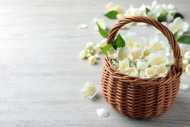 Photo of Beautiful jasmine flowers in wicker basket on white wooden table. Space for text