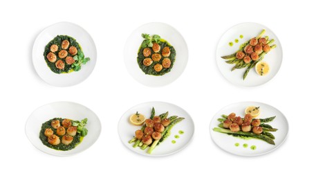 Image of Set of different dishes with scallops isolated on white, top and side views