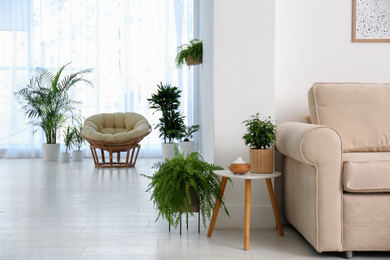Photo of Stylish room interior with beautiful plants. Home design idea