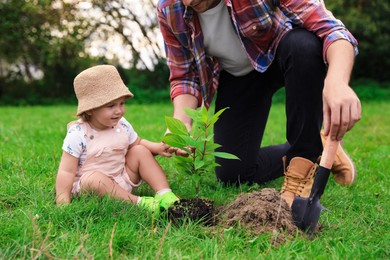 Photo of Father and his baby daughter planting tree together in garden, closeup