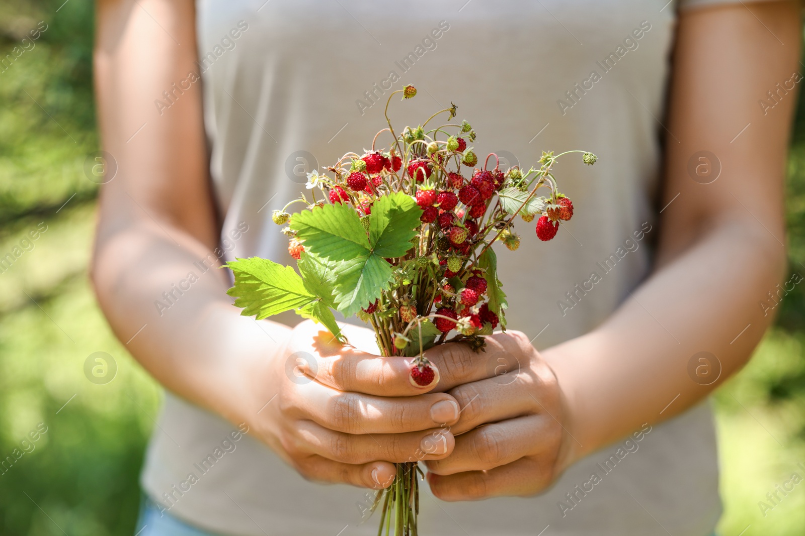 Photo of Woman holding bunch with fresh wild strawberries on blurred background, closeup