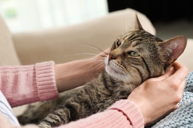 Photo of Cute tabby cat with owner on sofa, closeup. Friendly pet