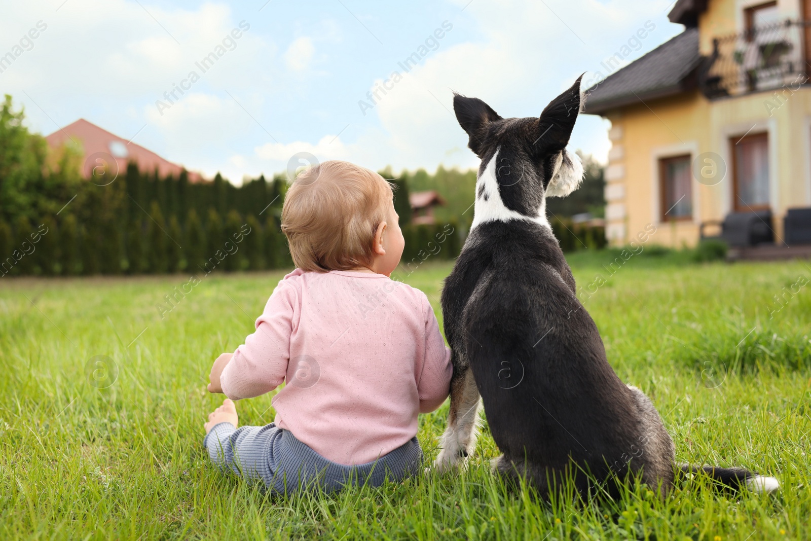 Photo of Adorable baby and furry little dog on green grass outdoors, back view