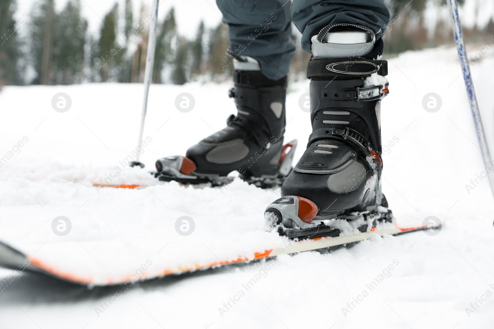 Photo of Skier on slope at resort, closeup. Winter vacation