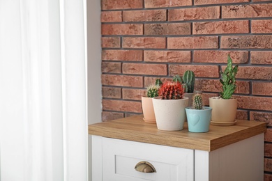 Beautiful cacti in flowerpots on chest of drawers near brick wall