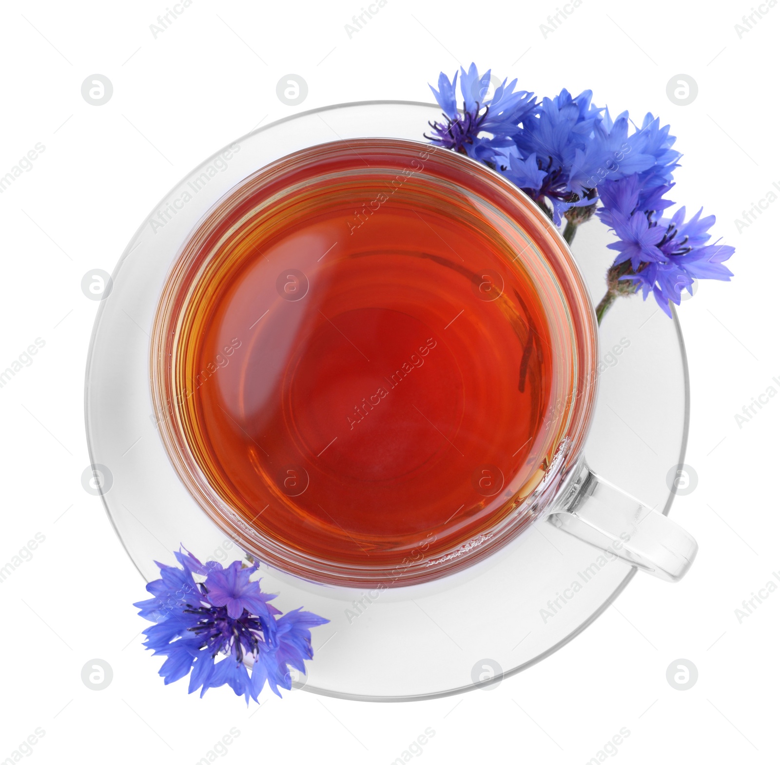 Photo of Cornflower tea and fresh flowers on white background, top view