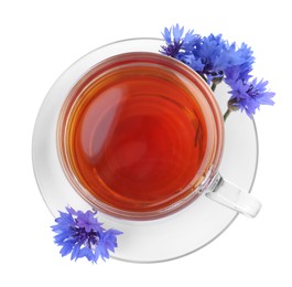 Photo of Cornflower tea and fresh flowers on white background, top view