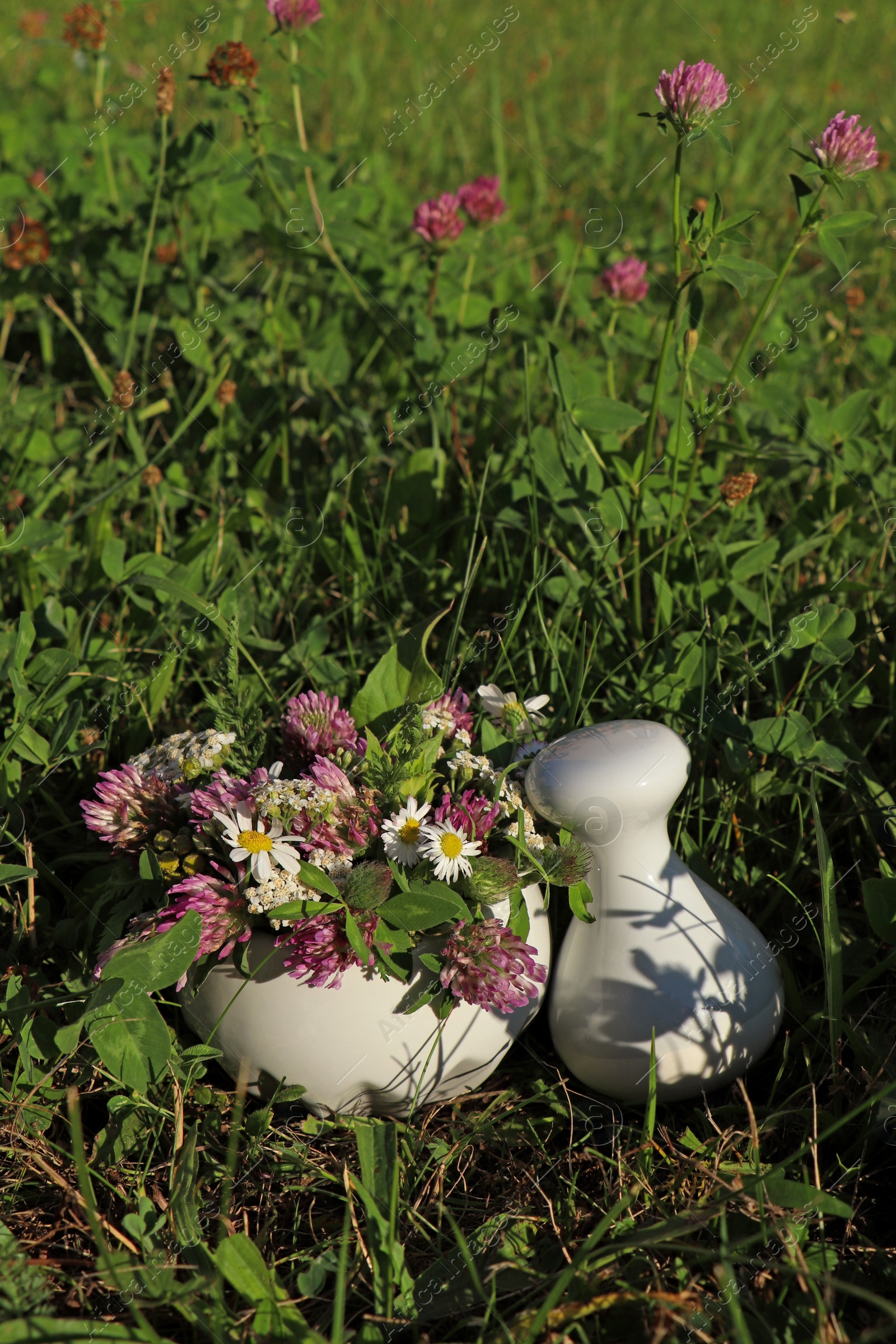 Photo of Ceramic mortar with pestle, different wildflowers and herbs on green grass outdoors