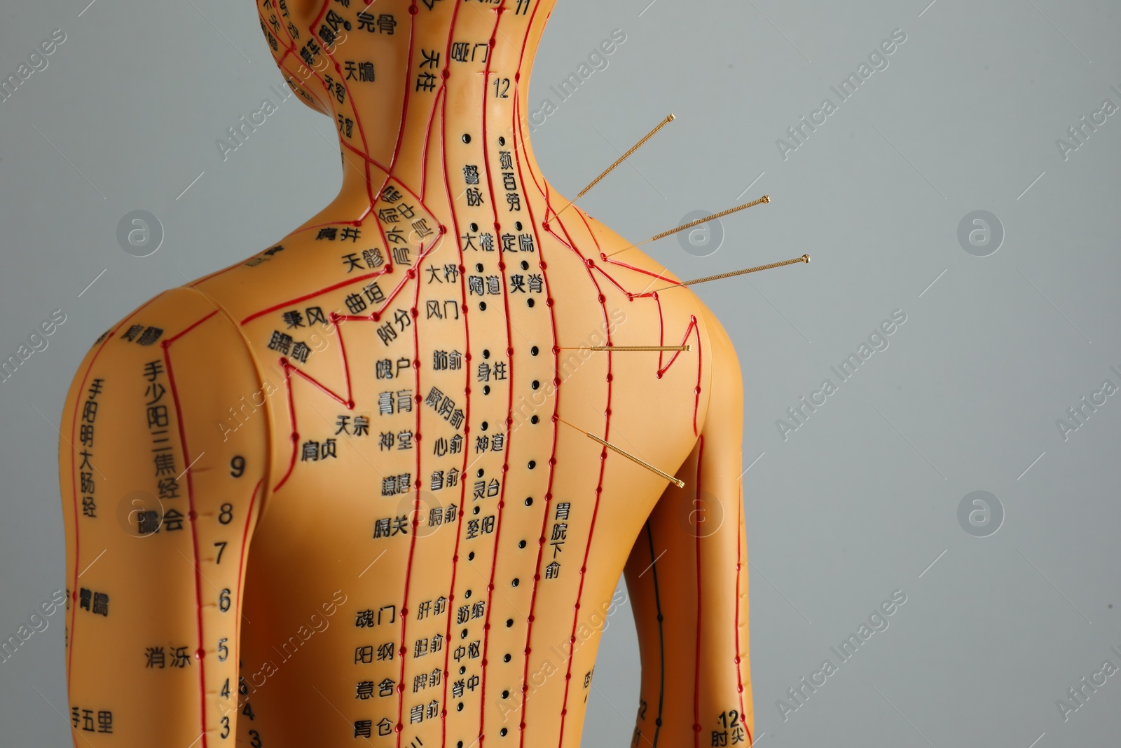 Photo of Acupuncture - alternative medicine. Human model with needles in shoulder against grey background