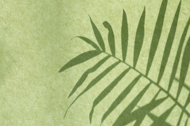 Photo of Shadow of houseplant on light green background