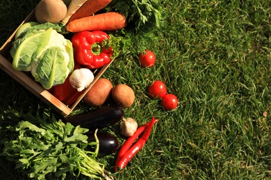 Photo of Different fresh ripe vegetables on green grass, flat lay. Space for text