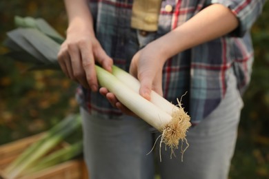 Woman holding fresh raw leeks outdoors, closeup