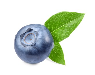 Fresh ripe blueberry and leaves isolated on white