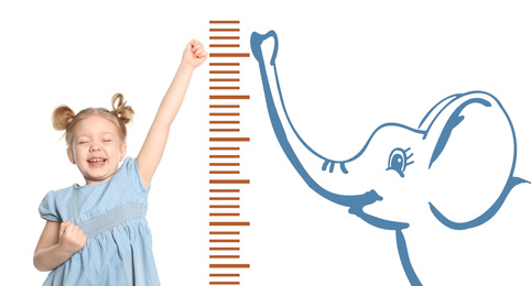 Little girl measuring height and drawing of elephant on white background