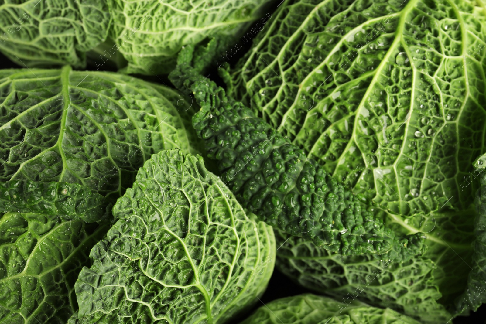Photo of Fresh green savoy cabbages as background, top view