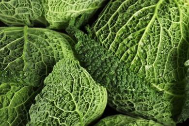 Fresh green savoy cabbages as background, top view