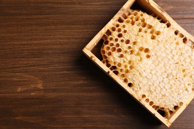 Photo of Honeycomb frame on wooden table, top view with space for text. Beekeeping tool