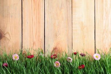 Vibrant green grass with beautiful flowers against wooden background, space for text