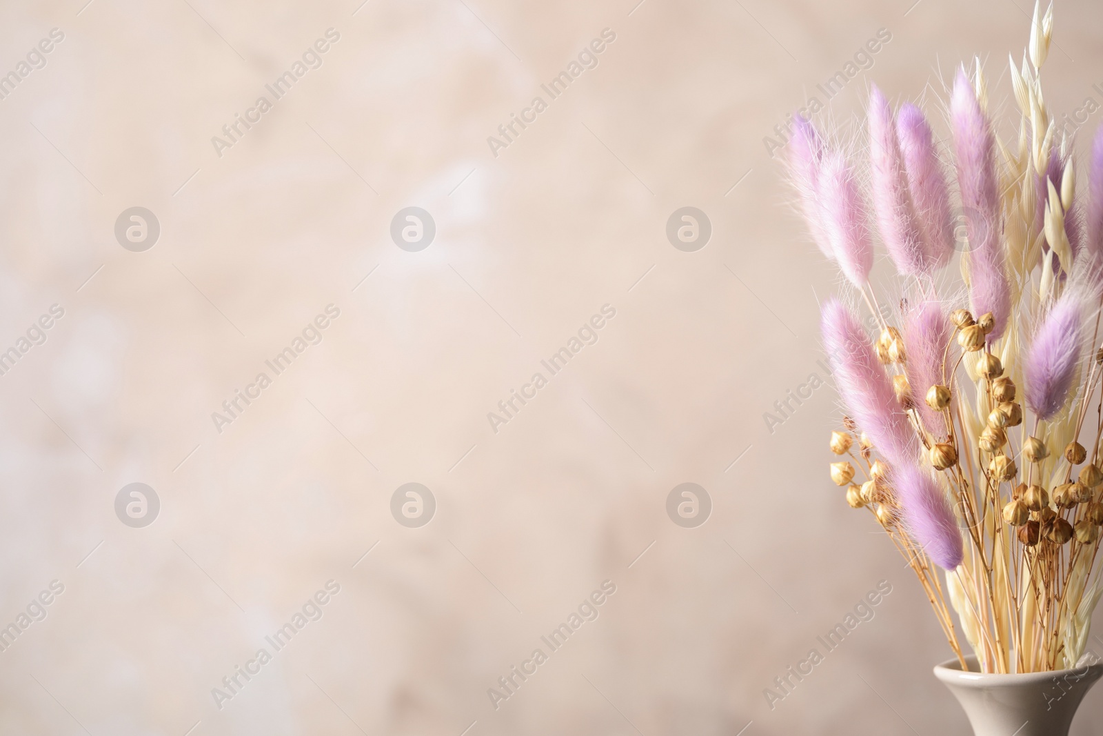 Photo of Dried flowers in vase against light grey background. Space for text