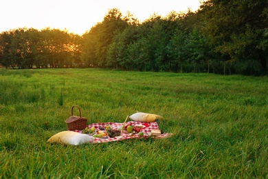 Photo of Picnic blanket with delicious snacks on grass in park