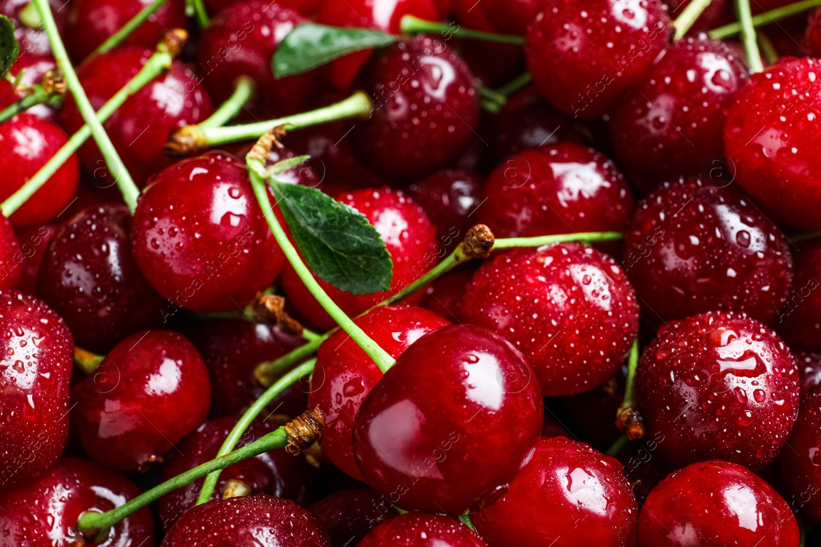 Photo of Sweet red cherries with water drops as background, closeup