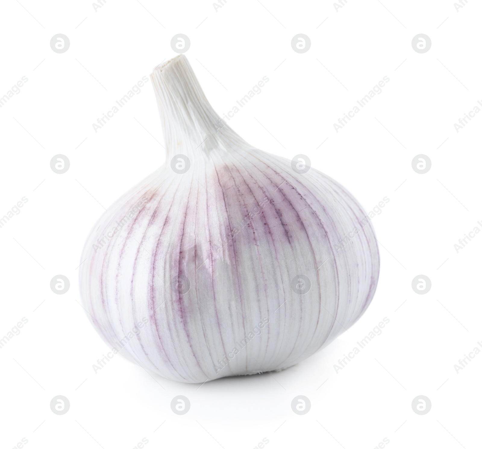 Photo of Fresh garlic on white background. Organic food