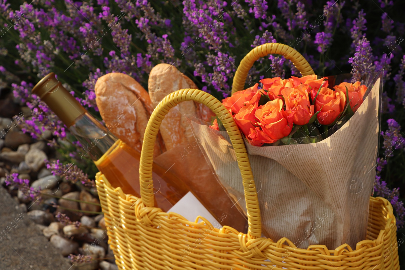 Photo of Yellow wicker bag with beautiful roses, bottle of wine and baguettes near lavender flowers outdoors, closeup