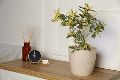 Photo of Beautiful potted mimosa, clock, photo frame and reed air freshener on wooden table near white wall