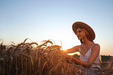 Woman in ripe wheat spikelets field at sunset