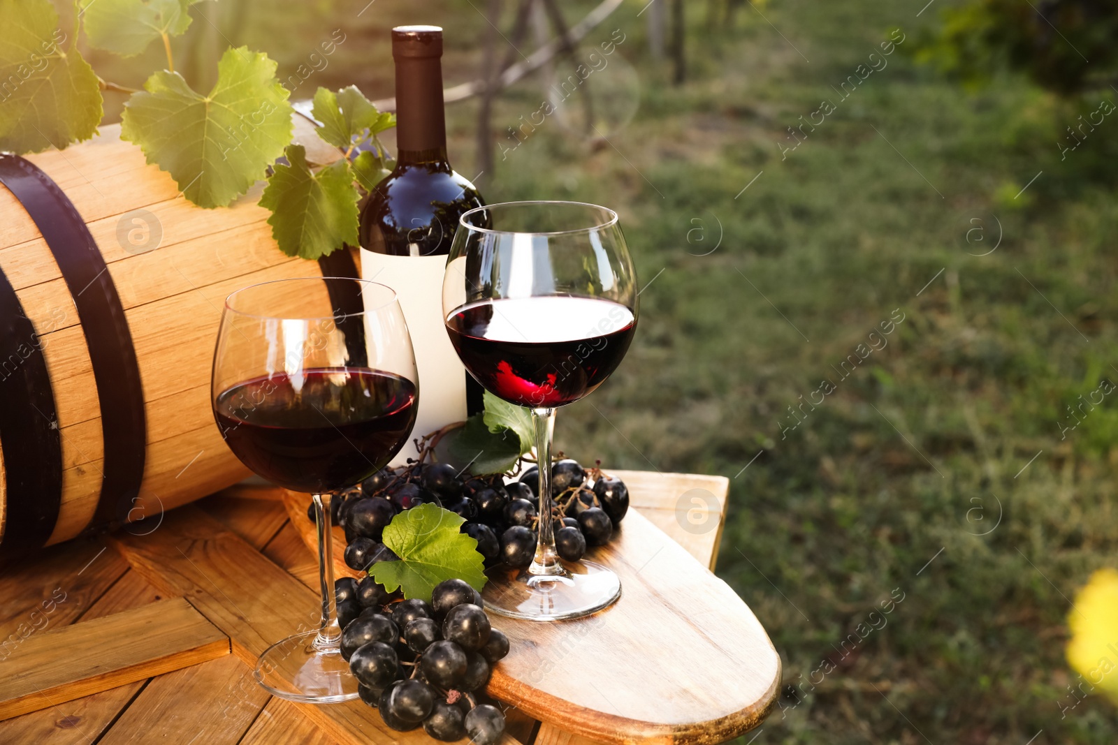 Photo of Composition with wine and ripe grapes on wooden table in vineyard