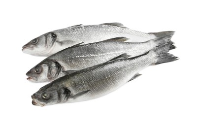 Photo of Fresh sea bass fish on white background, top view