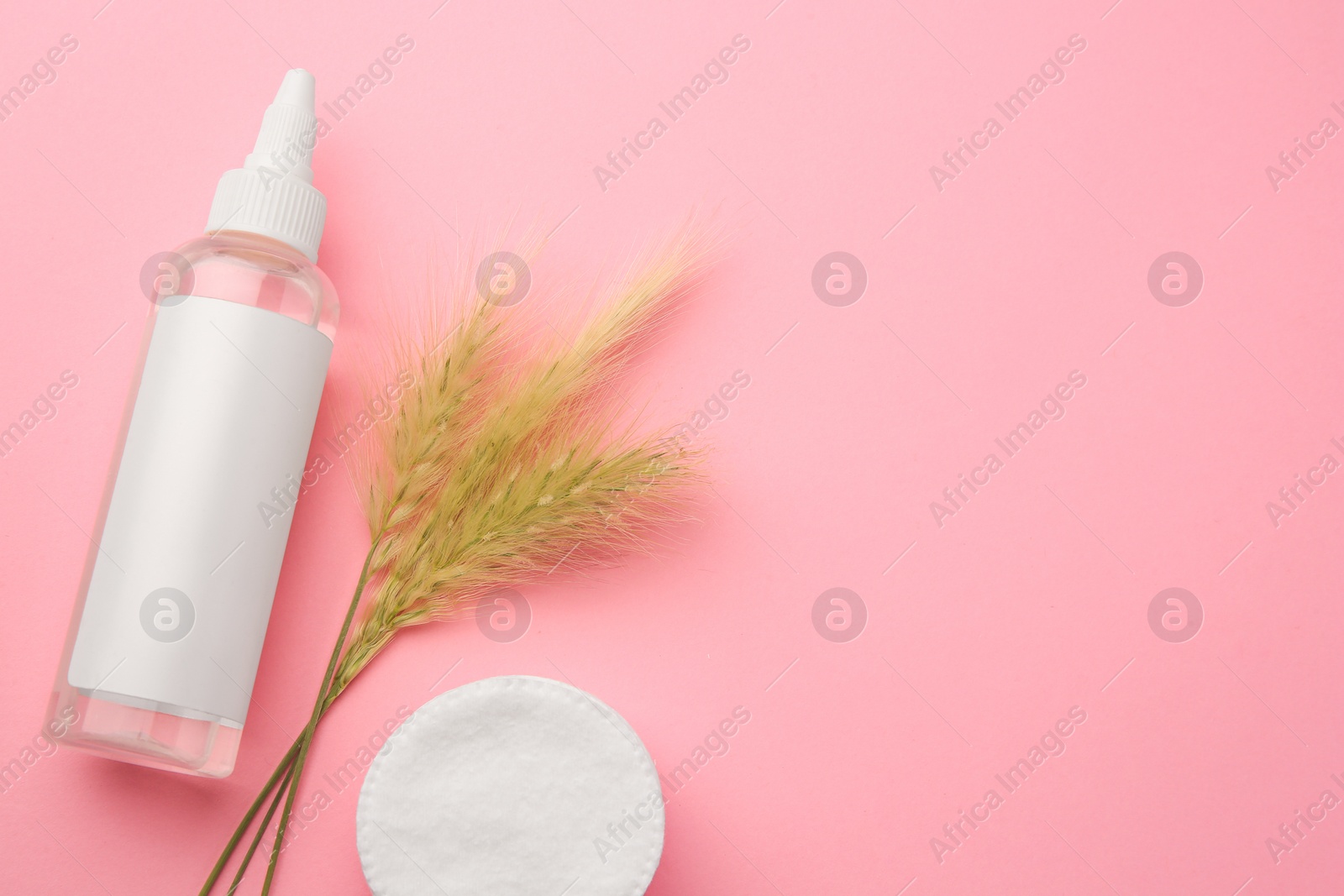 Photo of Bottle of makeup remover, cotton pad and spikelets on pink background, flat lay. Space for text