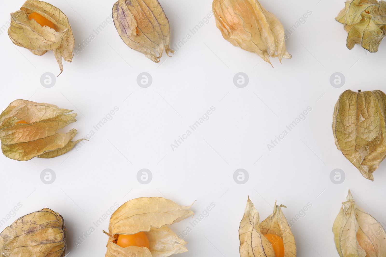 Photo of Frame of ripe physalis fruits with calyxes on white background, flat lay. Space for text