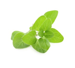 Photo of Sprig of fresh green oregano isolated on white