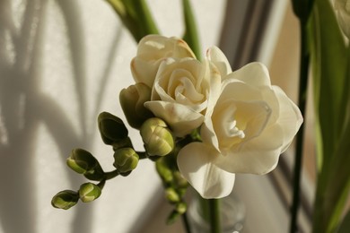 Photo of Spring is coming. White beautiful flowers, closeup