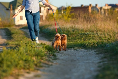 Photo of Young woman walking her adorable Brussels Griffon dogs outdoors