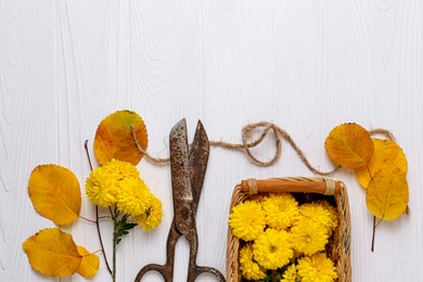 Photo of Flat lay composition with scissors, twine and Chrysanthemum flowers on white wooden table, space for text